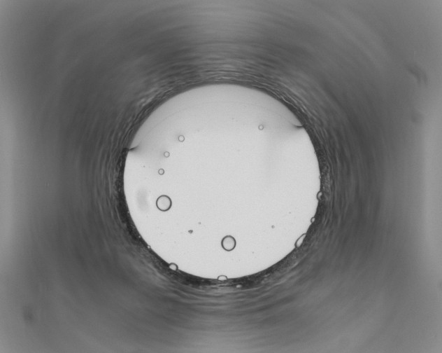 X0000110910219200907301548