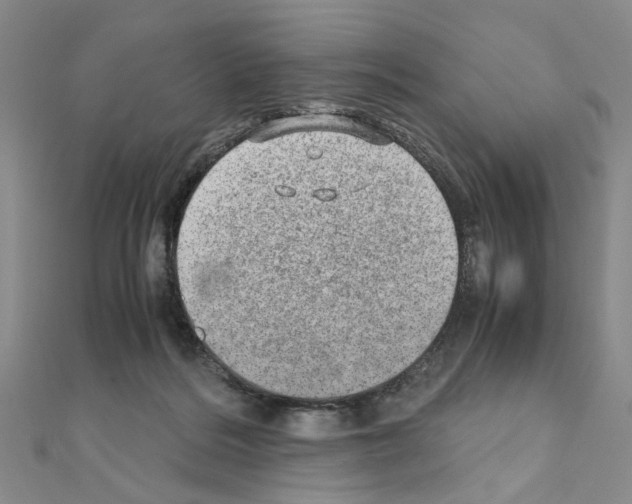 X0000110910220200907301548