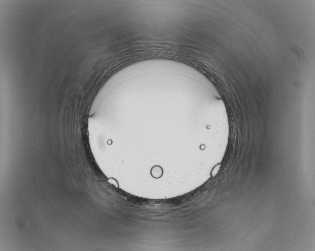 X0000110910221200907301548