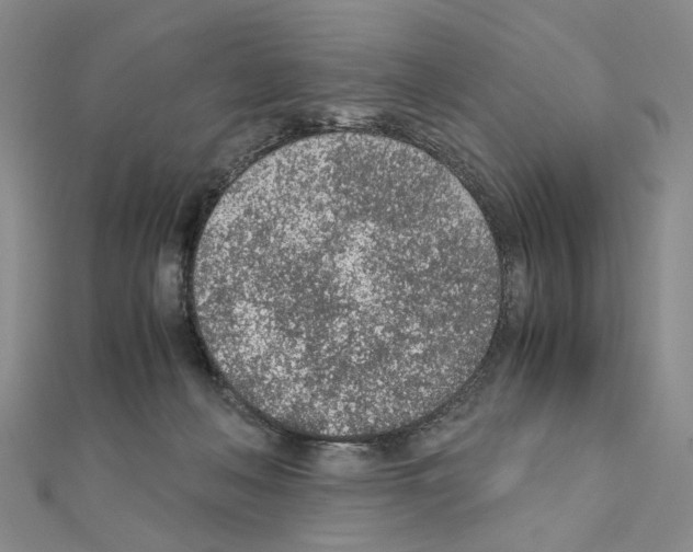 X0000110910222200907301548