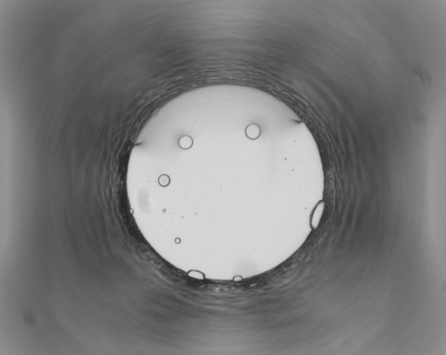 X0000110910223200907301548