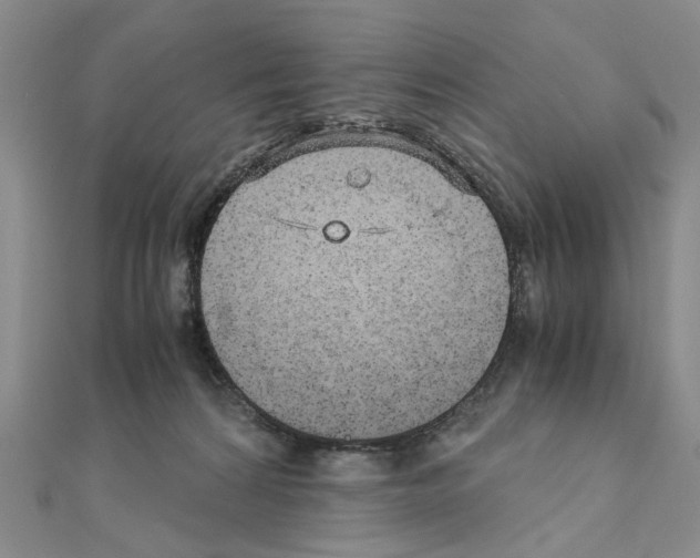 X0000110910224200907301548