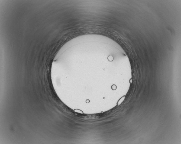 X0000110910225200907301548