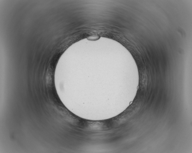 X0000110910226200907301548