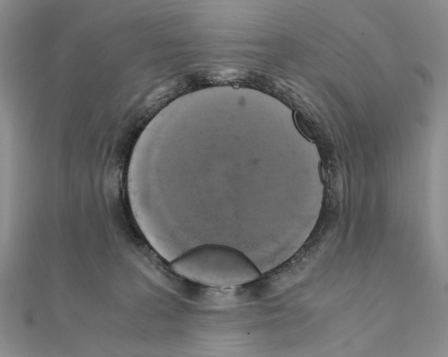 X0000110910227200907301548