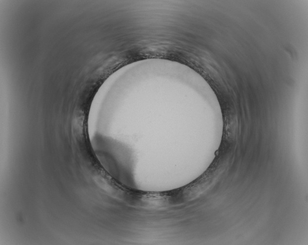 X0000110910231200907301548