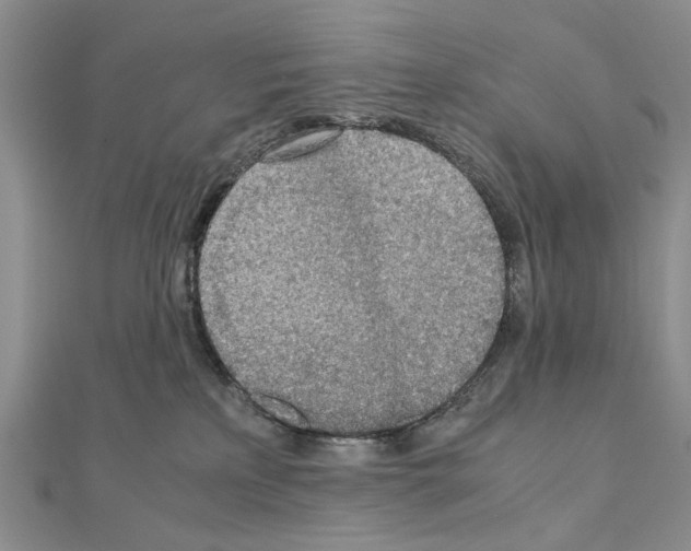 X0000110910233200907301548