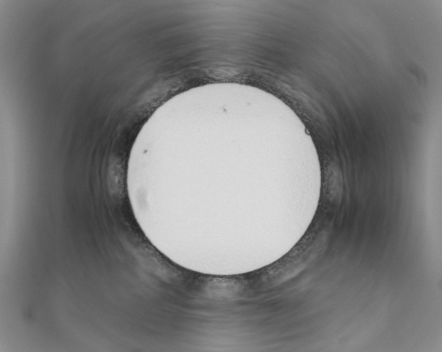 X0000110910234200907301548