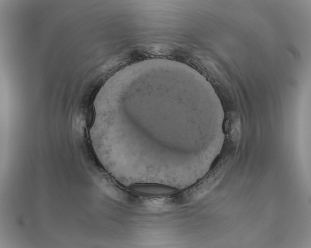 X0000110910235200907301548