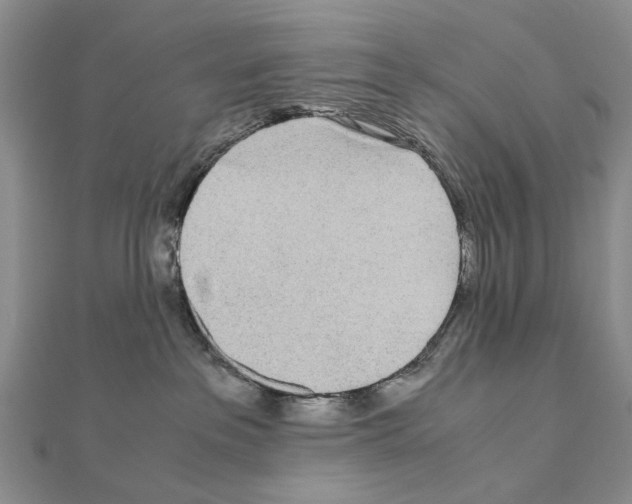 X0000110910237200907301548