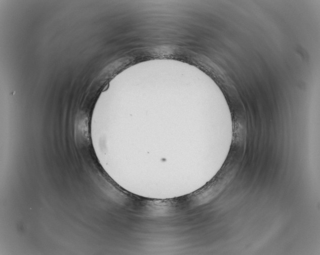 X0000110910238200907301548