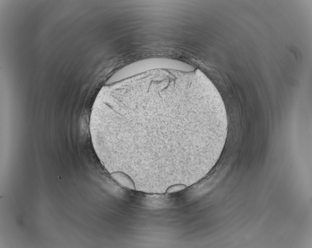 X0000110910240200907301548