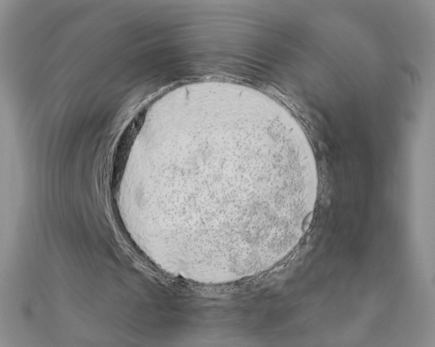 X0000110910241200907301547