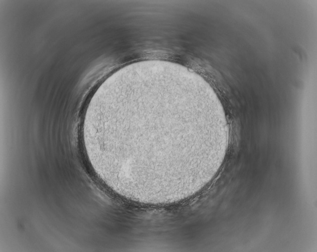 X0000110910243200907301547