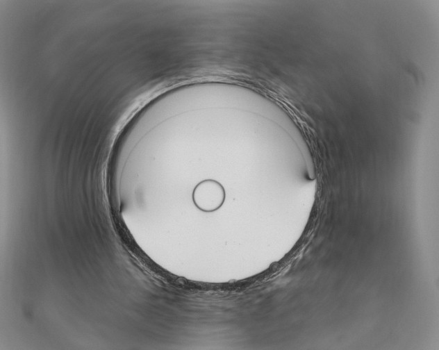 X0000110910244200907301547