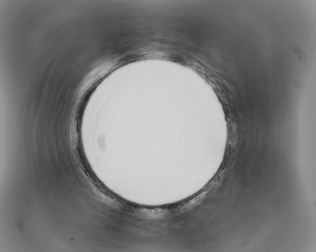 X0000110910245200907301547