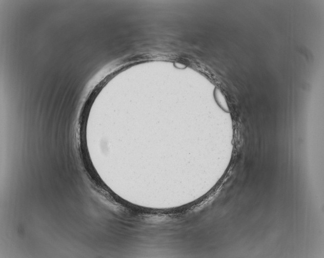 X0000110910246200907301547