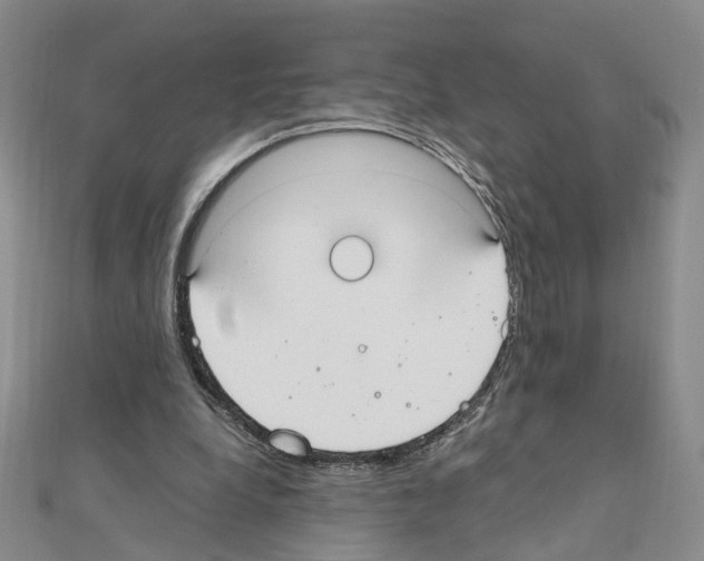 X0000110910248200907301547