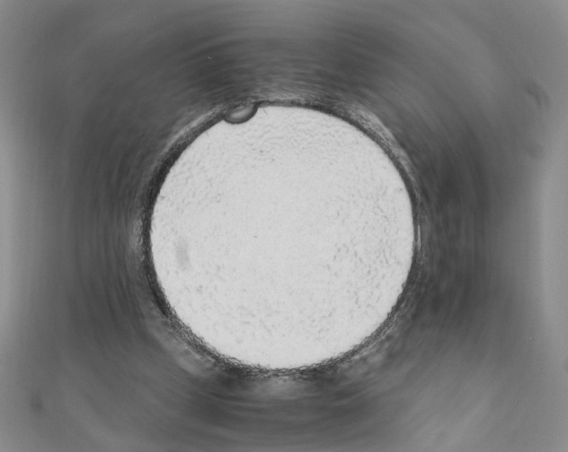 X0000110910249200907301547