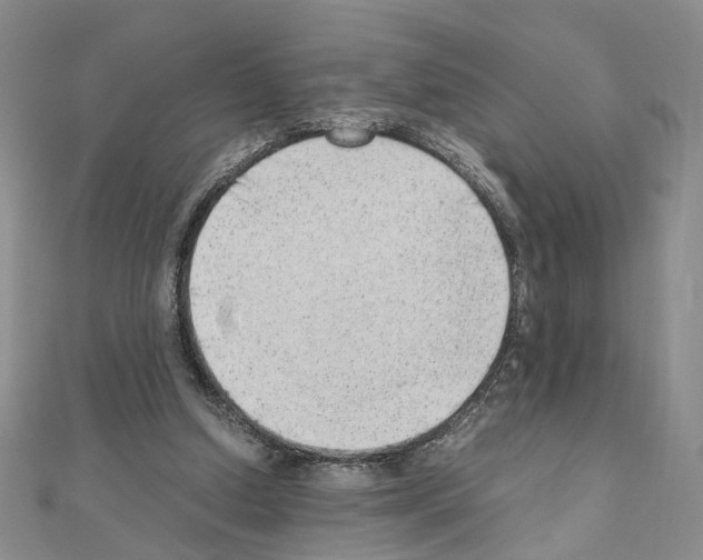 X0000110910250200907301547