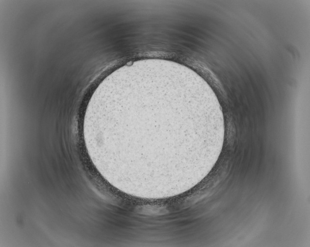 X0000110910251200907301547