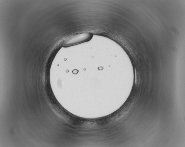 X0000110910252200907301548