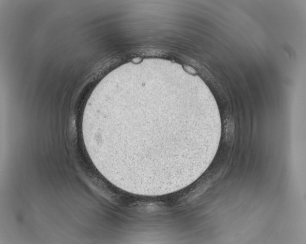 X0000110910254200907301548