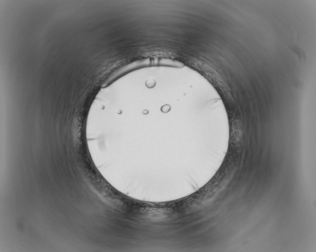 X0000110910255200907301548