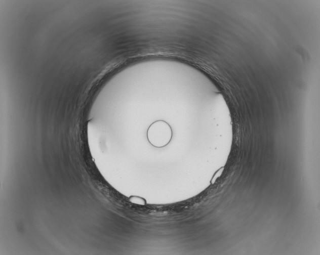 X0000110910256200907301548