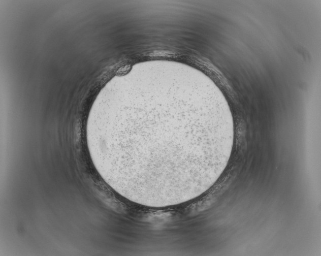 X0000110910257200907301548