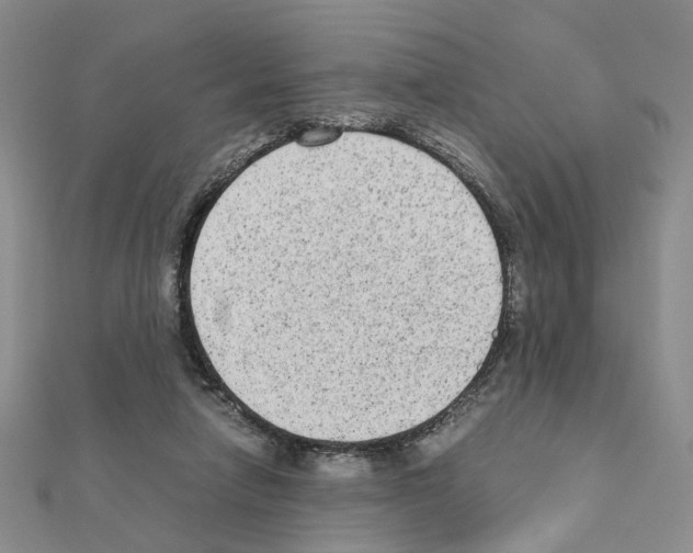 X0000110910258200907301548