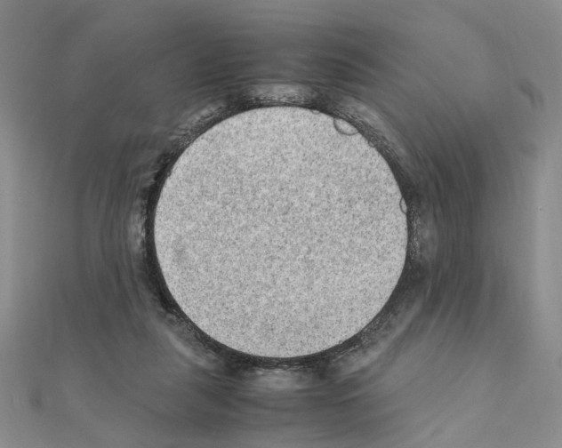 X0000110910259200907301548