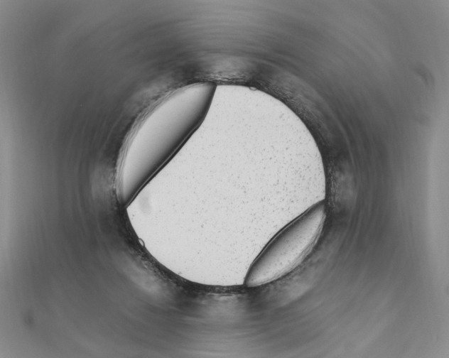 X0000110910260200907301548