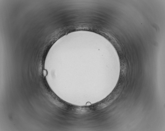 X0000110910261200907301548