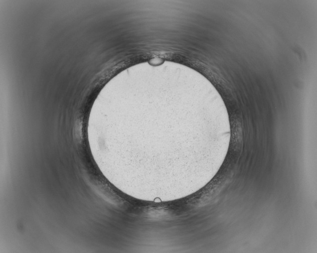 X0000110910262200907301548