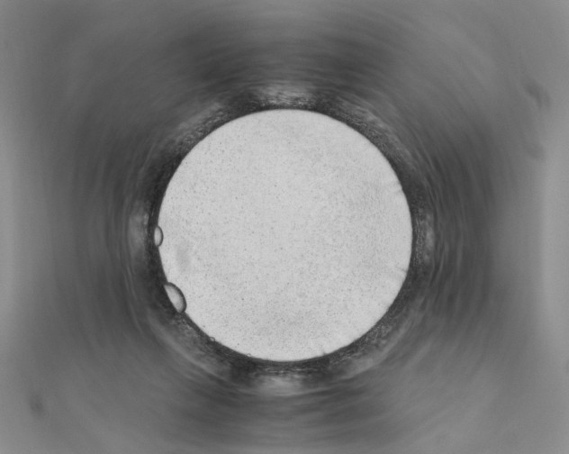 X0000110910263200907301548