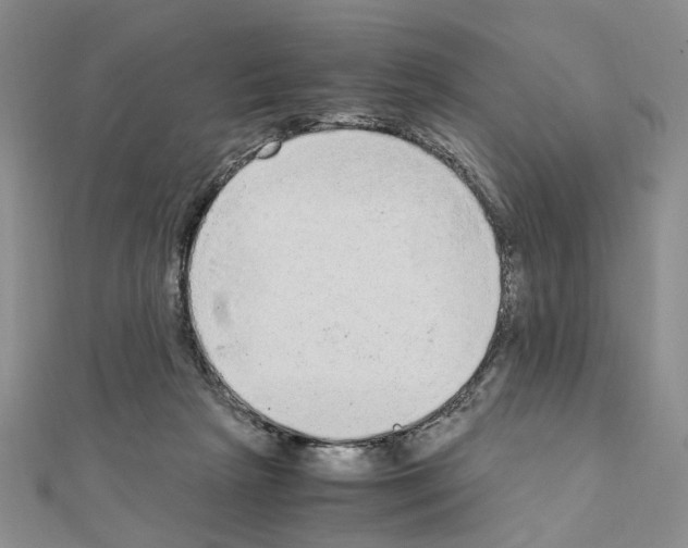 X0000110910265200907301548