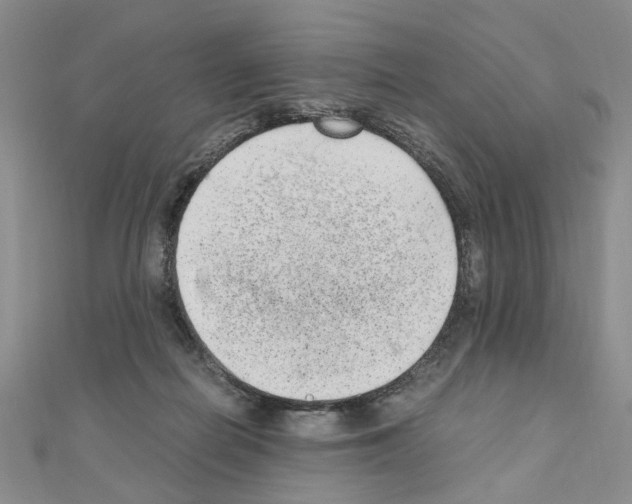 X0000110910266200907301548