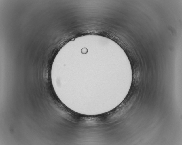 X0000110910268200907301548