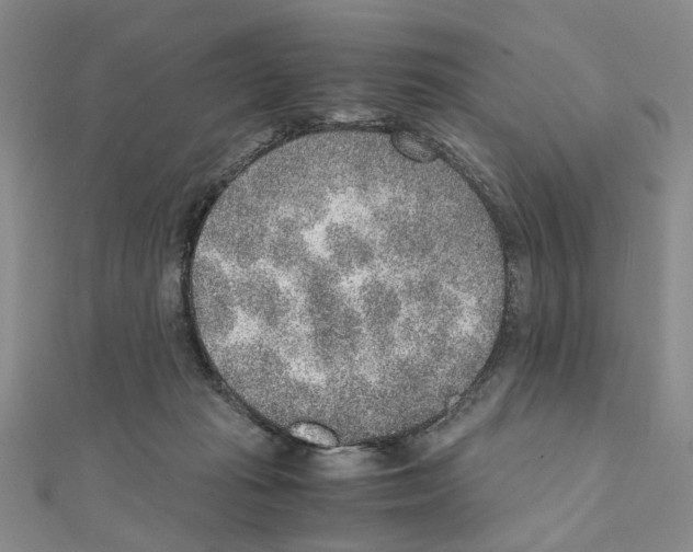 X0000110910269200907301548