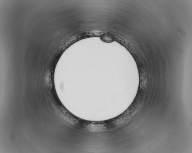 X0000110910270200907301548