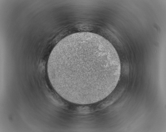 X0000110910271200907301548