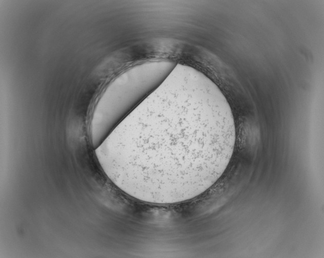 X0000110910272200907301548