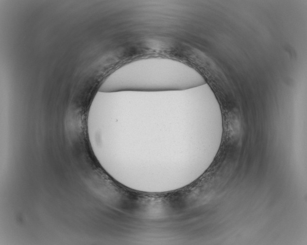 X0000110910276200907301548