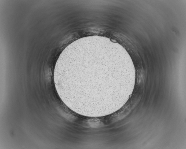 X0000110910279200907301548