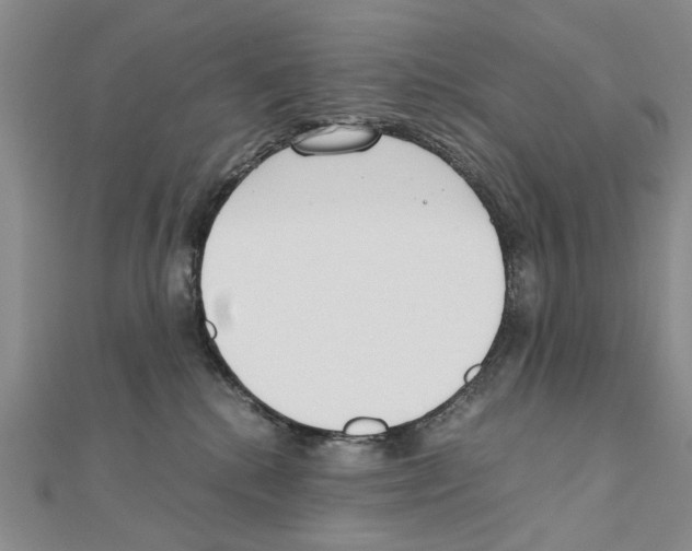 X0000110910280200907301548