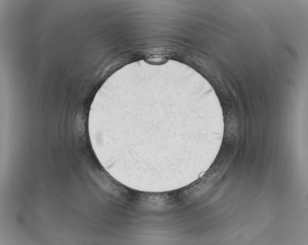 X0000110910282200907301548