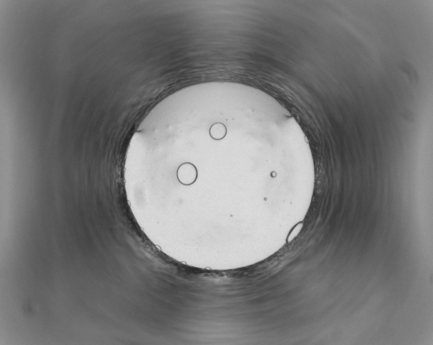 X0000110910284200907301548