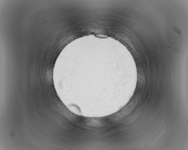 X0000110910285200907301548