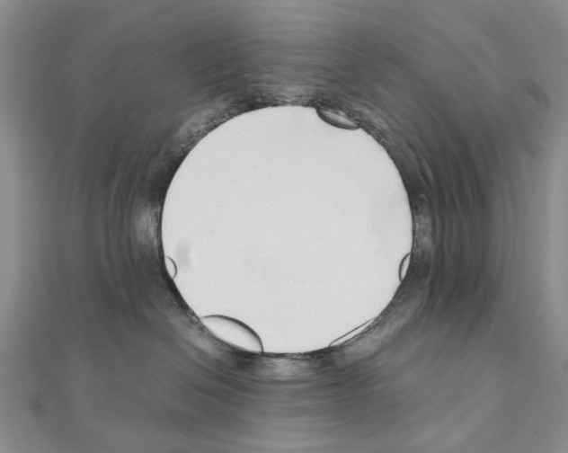 X0000110910286200907301548